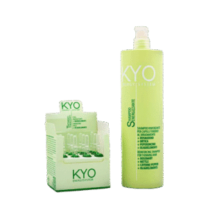 KYO ENERGY SYSTEM TREATMENT (SET)