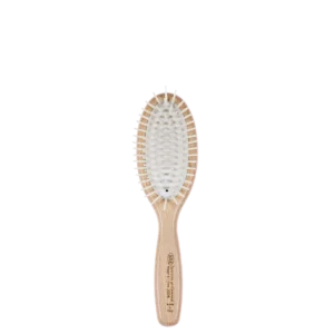 فرشاة شعر بيضاوية صغيرة