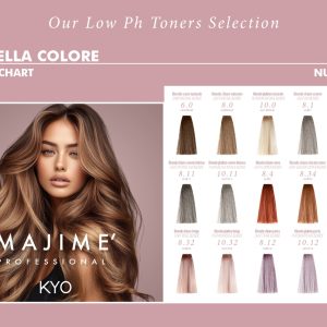 Alternative view of Kyo Majime' Demi- Permanent Low pH Toner enriched with Active Plex